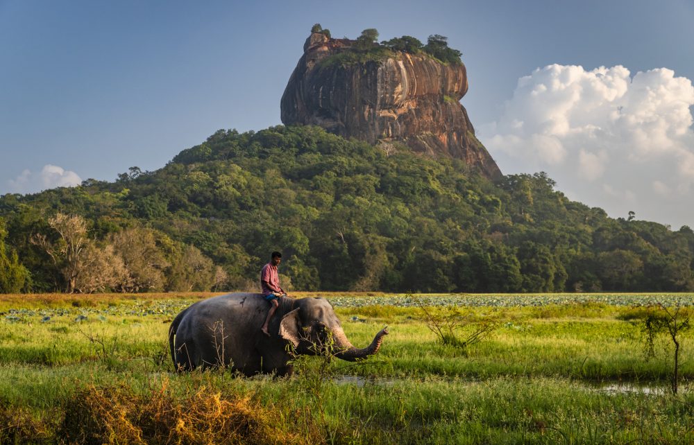 Familie Arndt auf Reisen